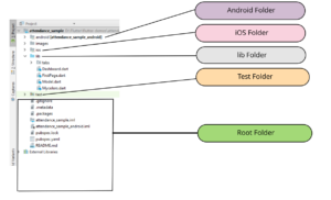 google-flutter-directory-structure